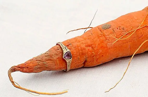 Carot with ring