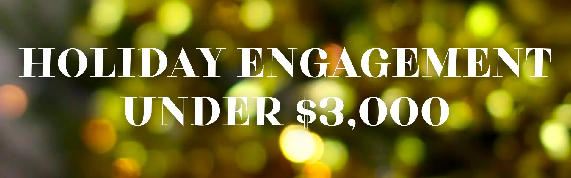 HOLIDAY ENGAGEMENT