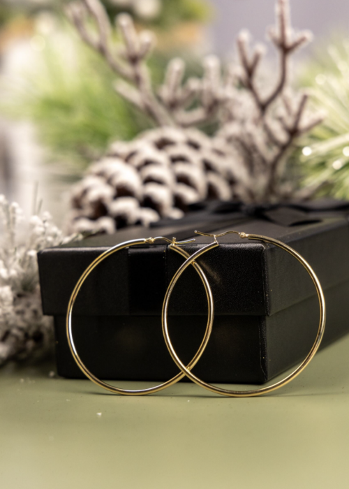 gold-hoops-1.png